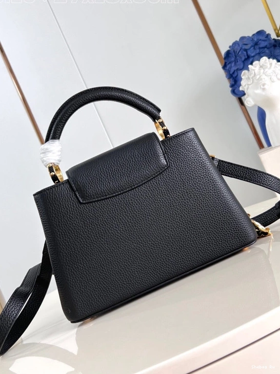 LOUIS VUITTON BB-27*18*9CM CAPUCINES 0819